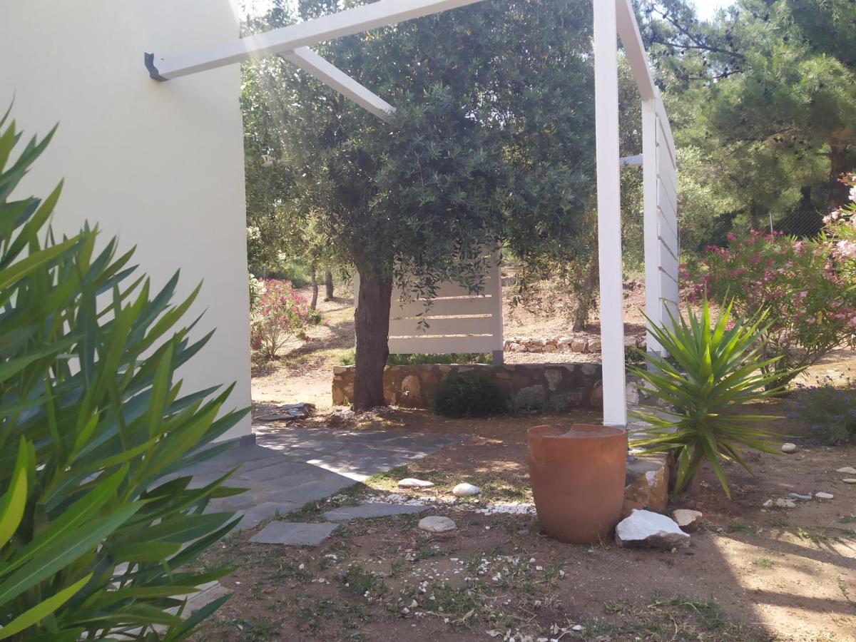 Villa Ambra Astris Esterno foto
